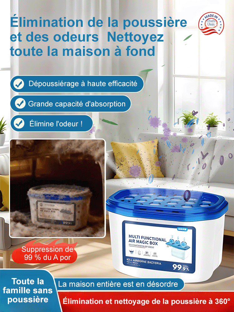 【MaisonSans Poussière 365J】Boîtier Anti-Poussière Breveté US | Élimine 99,9% Pollens, Poils et Poussière | Stop Allergies | Certifié TÜV 🏠🍃