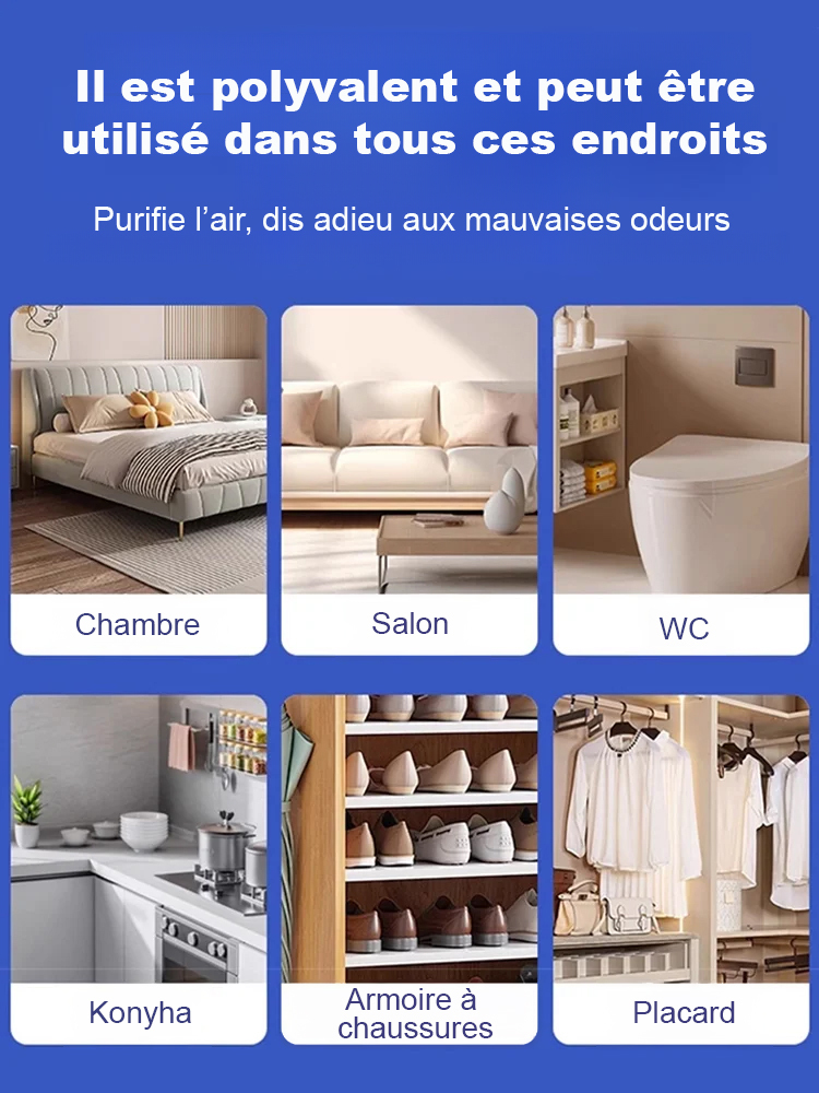 【 365 Jours Sans Poussière ni Moisissure 】Purificateur d'Air Nano-Actif | Anti-Humidité| Élimine 99% de la Poussière | Certifié SGS et BV | Sécurité Bébés et Animaux 🌿🏠