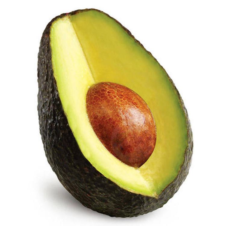 [fruit la première année]Avocatier Bio Géant de Munich | Récolte Dès la Première Année 🥑✨
