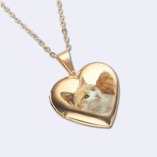 Love & Paw Prints Heart Necklace - Custom Pet/Human Photo & Text Gift 