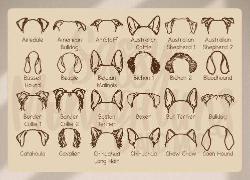 Customizable Dog Ears Framed 3D Wood Art: A Heartfelt Pet Memorial Gift
