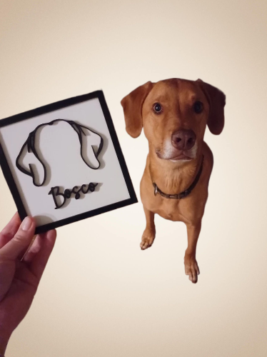 Customizable Dog Ears Framed 3D Wood Art: A Heartfelt Pet Memorial Gif