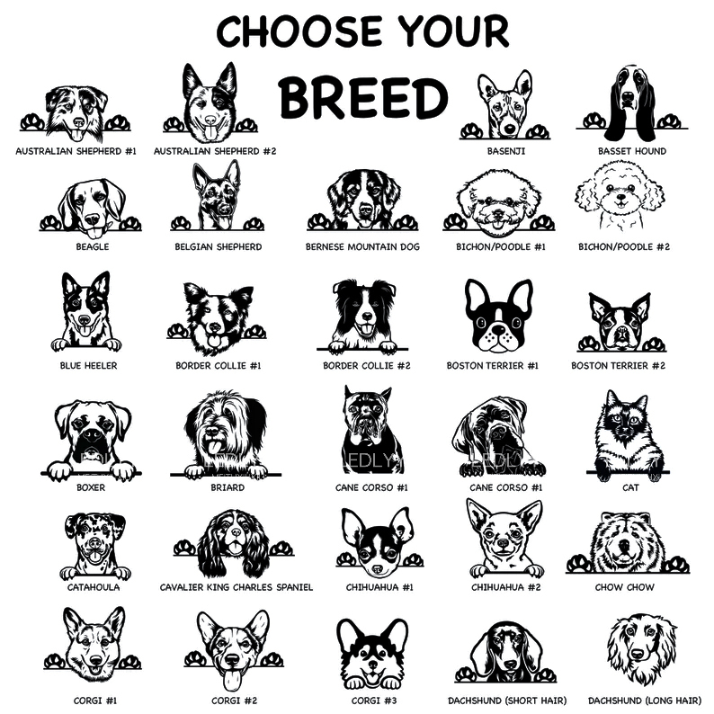Unleash Your Love: Custom Dog Shirts,Handmade Shirts & Adorable Sweatshirts