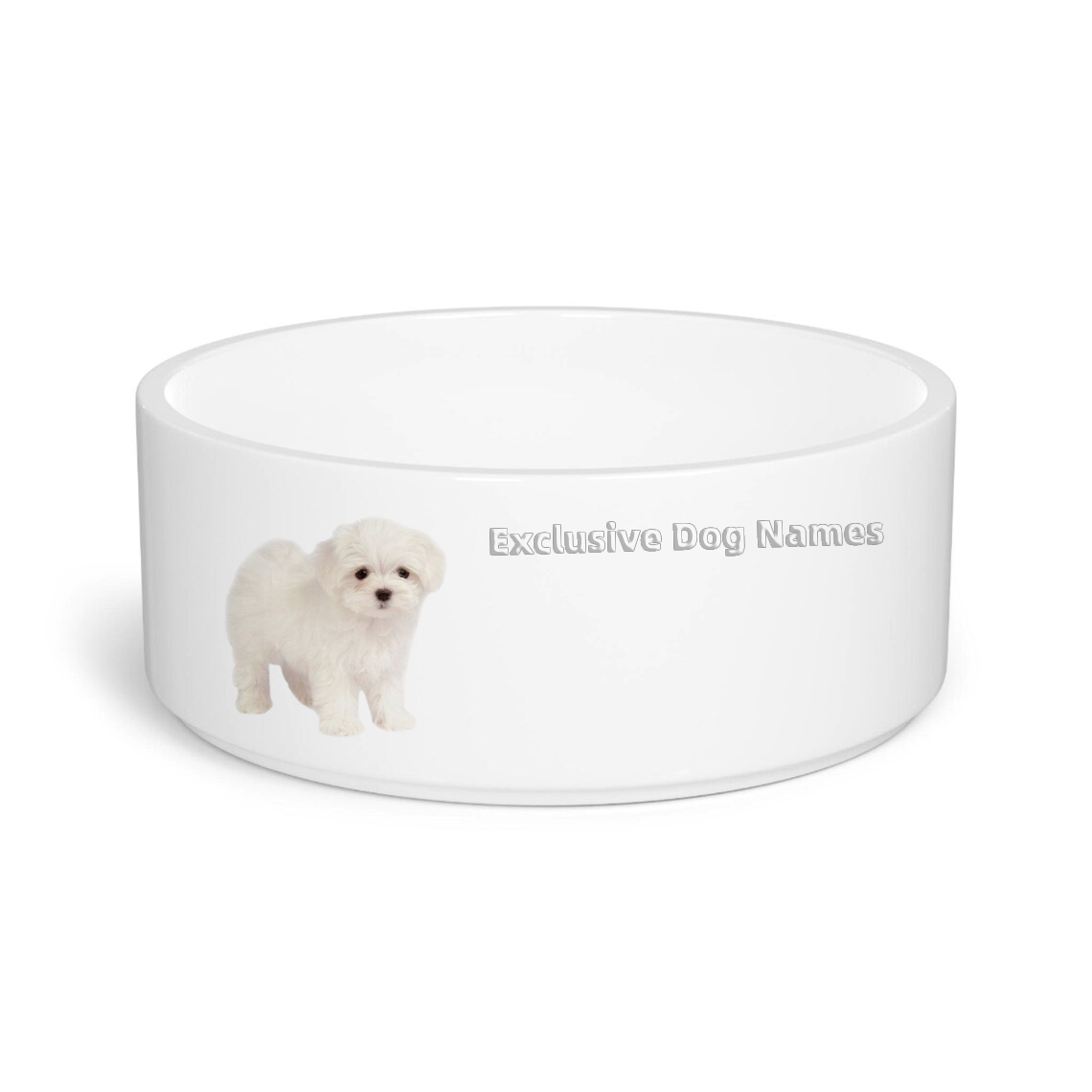 Pawsome Custom Pet Bowl - Engraved Name & Style You Love!