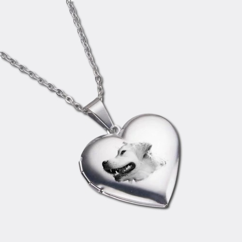 Love & Paw Prints Heart Necklace - Custom Pet/Human Photo & Text Gift 