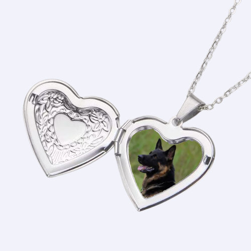 Love & Paw Prints Heart Necklace - Custom Pet/Human Photo & Text Gift 