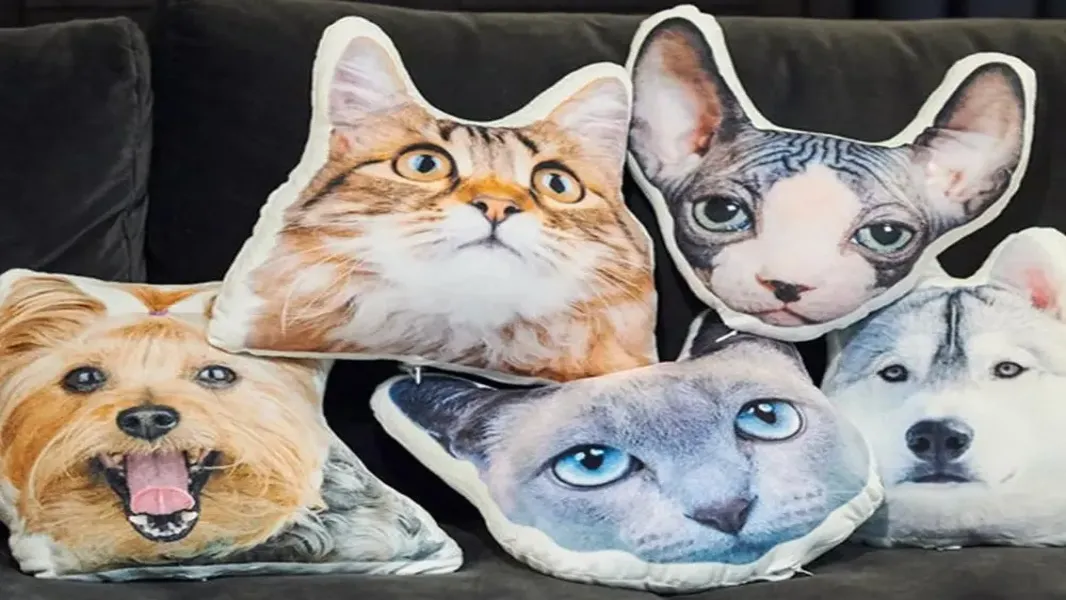 Custom cat-shaped photo pillow tucked into the corner of a linen sofa with a knit throw blanket, cozy afternoon interior