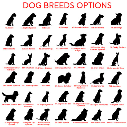 Custom Pet Memorial Garden Stake, Personalized Golden Retriever Silhouette Grave Marker with Name and Years, Outdoor Tribute Sign for Beloved Pets