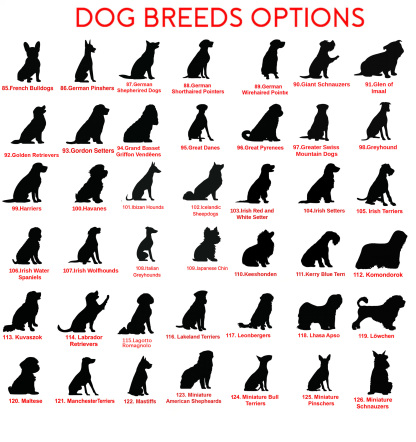 Custom Pet Memorial Garden Stake, Personalized Golden Retriever Silhouette Grave Marker with Name and Years, Outdoor Tribute Sign for Beloved Pets