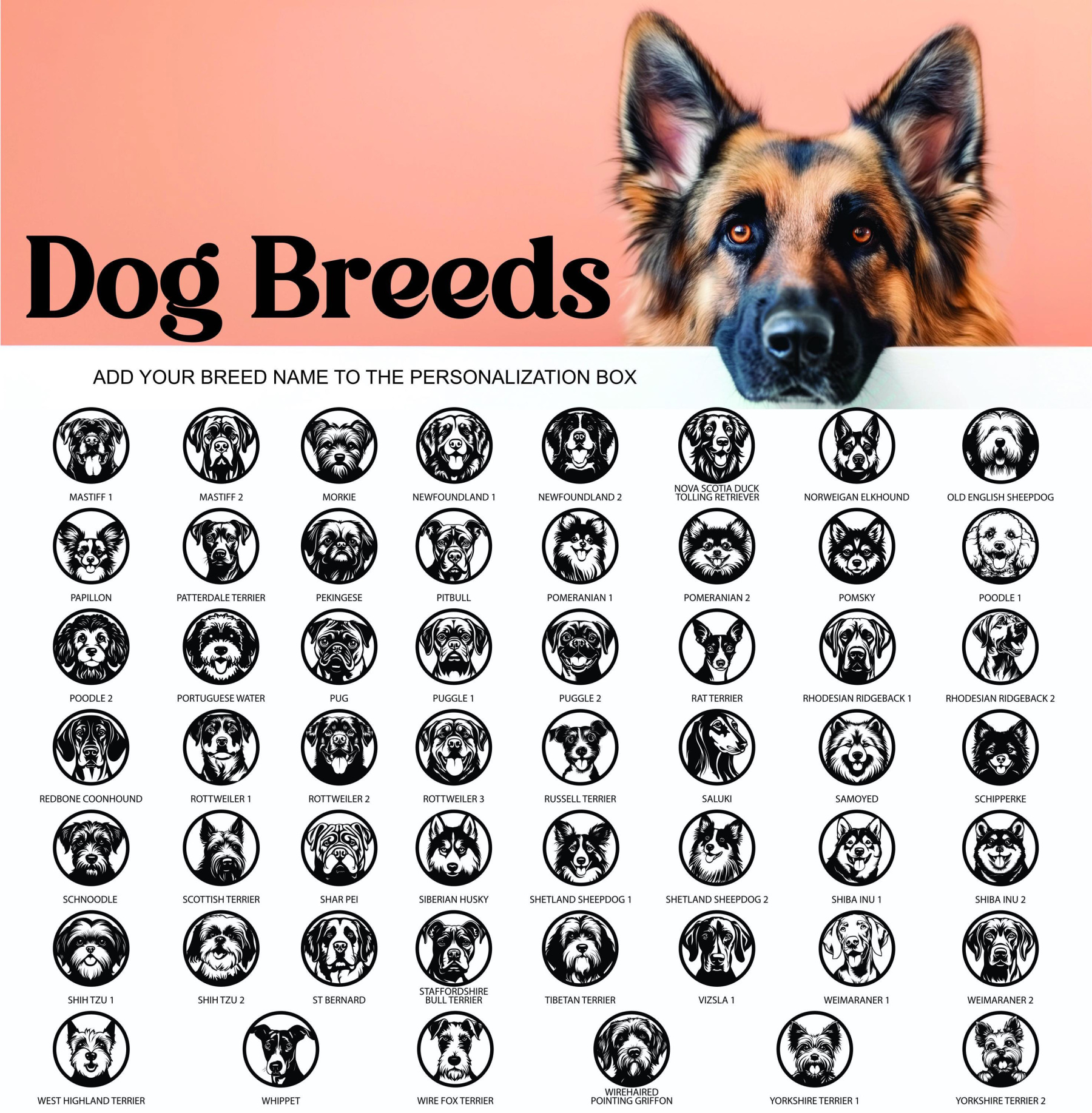 Personalized Dog Name Sign, Custom Metal Pet Sign for Labrador, French Bulldog, Corgi