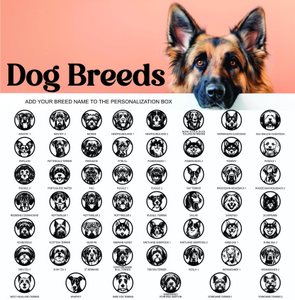 Personalized Dog Name Sign, Custom Metal Pet Sign for Labrador, French Bulldog, Corgi