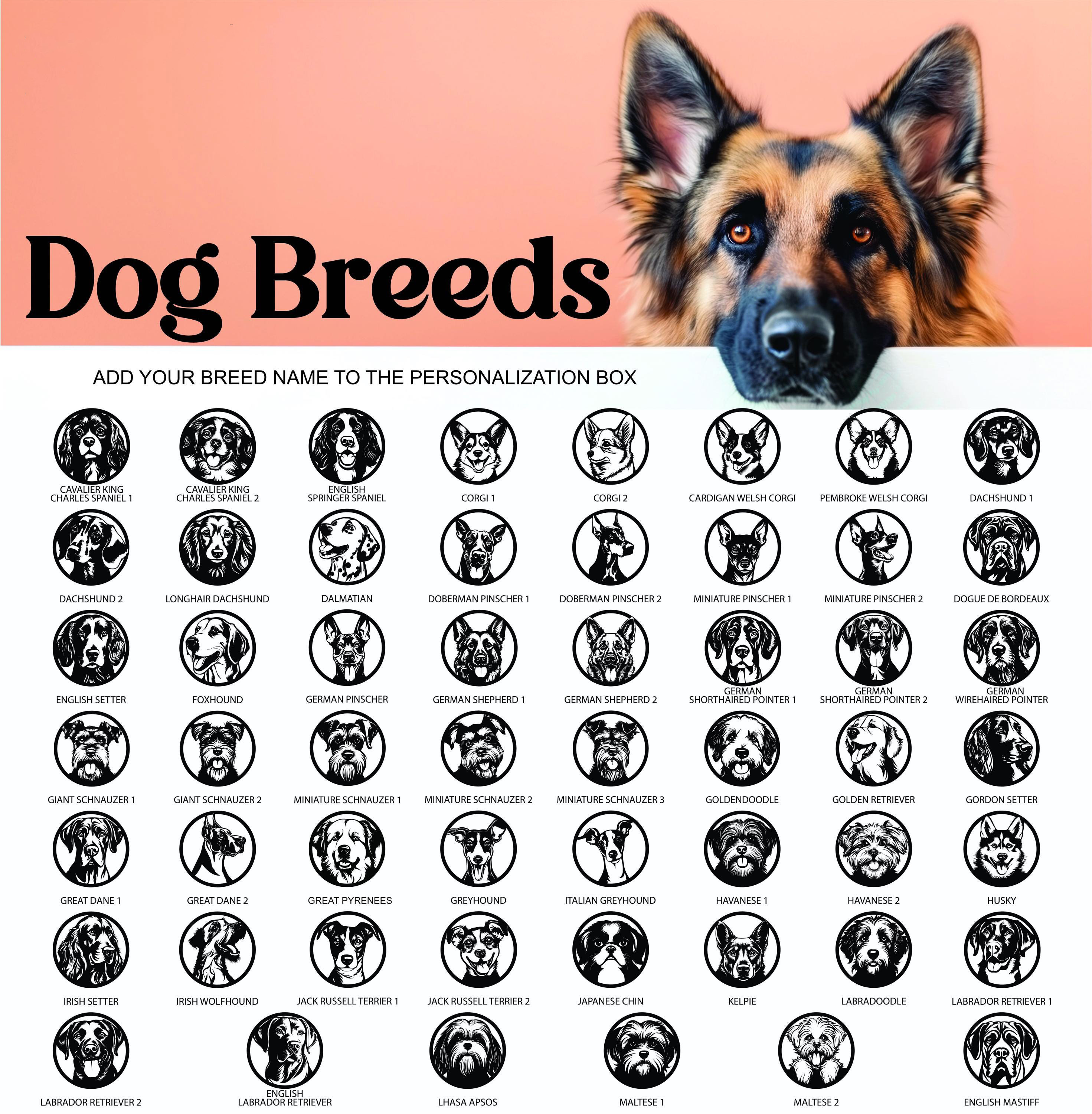 Personalized Dog Name Sign, Custom Metal Pet Sign for Labrador, French Bulldog, Corgi