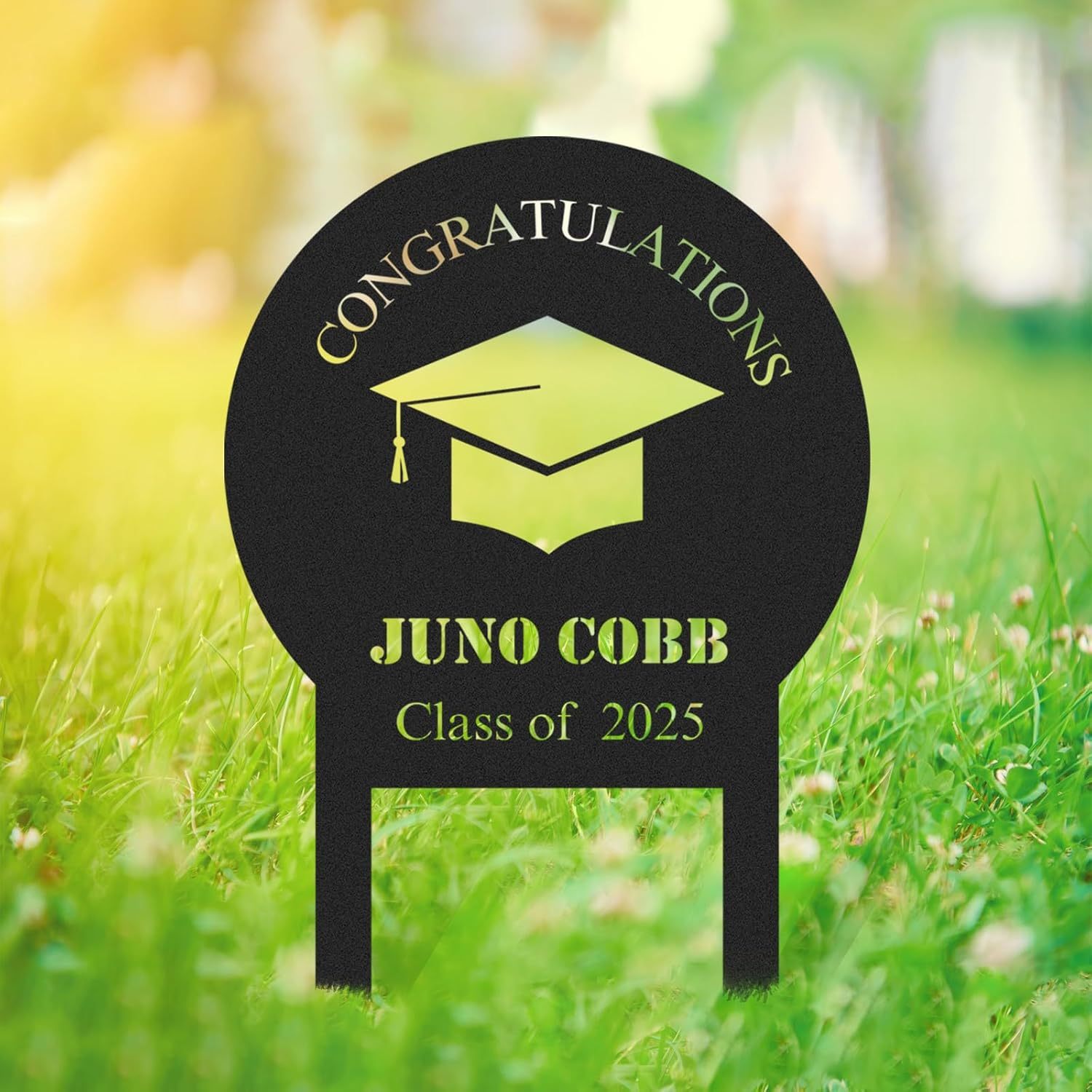  Custom Graduation Decorations Yard Sign, Senior Yard Signs Class of 2025, Custom Signs Outdoor Metal, Yard Sign Stakes Metal, Grad Gifts, Graduate Decorations for College High School