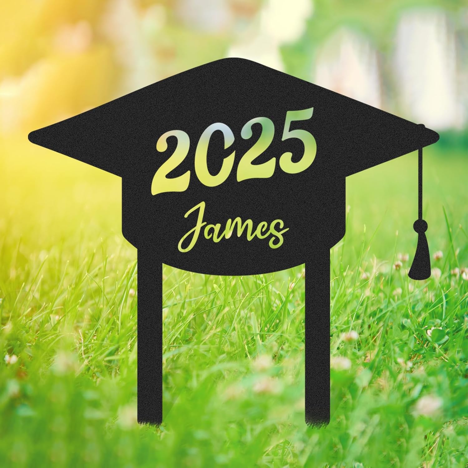  Custom Graduation Decorations Yard Sign, Senior Yard Signs Class of 2025, Custom Signs Outdoor Metal, Yard Sign Stakes Metal, Grad Gifts, Graduate Decorations for College High School
