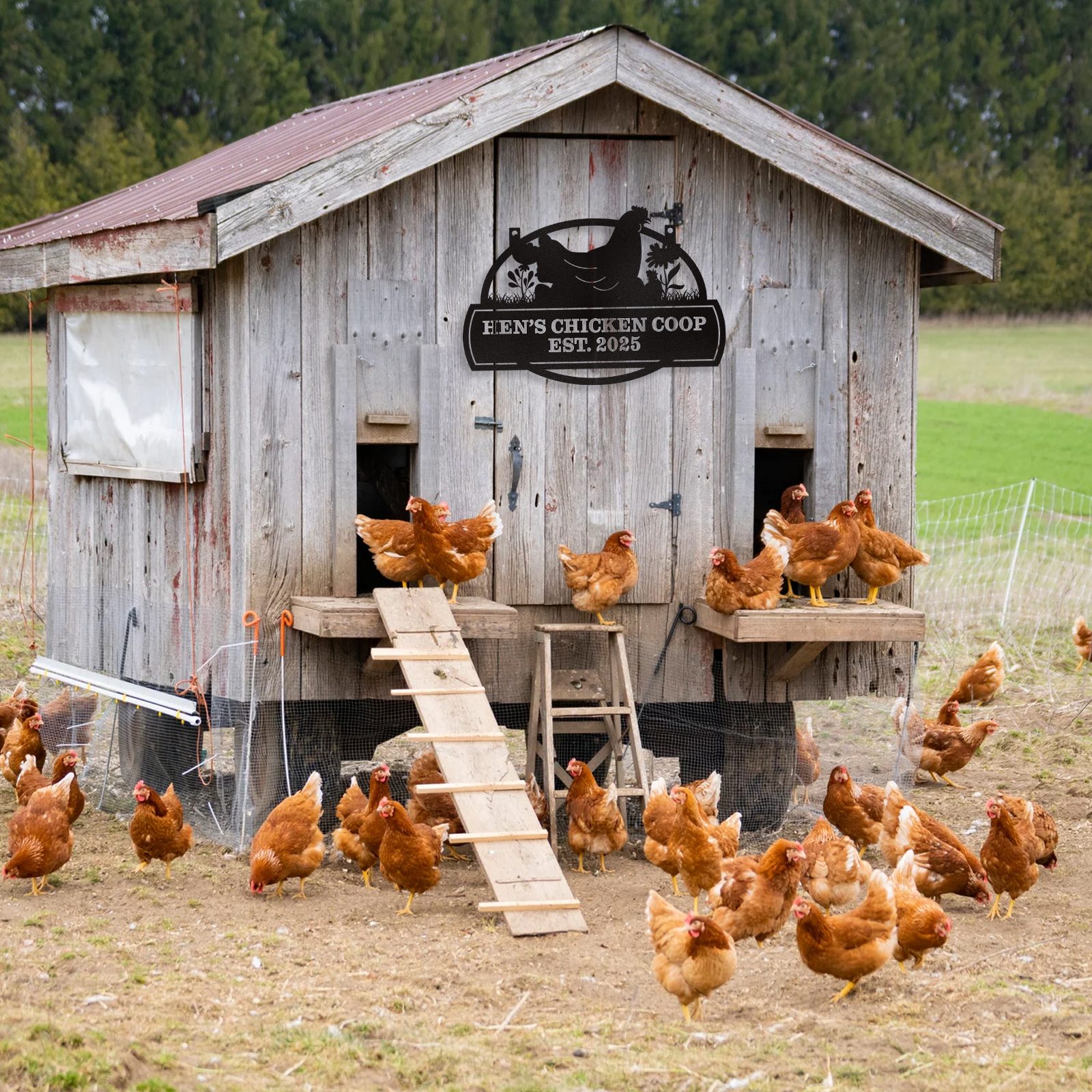 Personalized Chicken Coop Signs, Metal Funny Farm Decor, Chicken Coop Accessories, Metal Outdoor Wall Art, Custom Hen House Sign, Rustic Farmhouse Wall Decor for Farm Yard Garden Color10