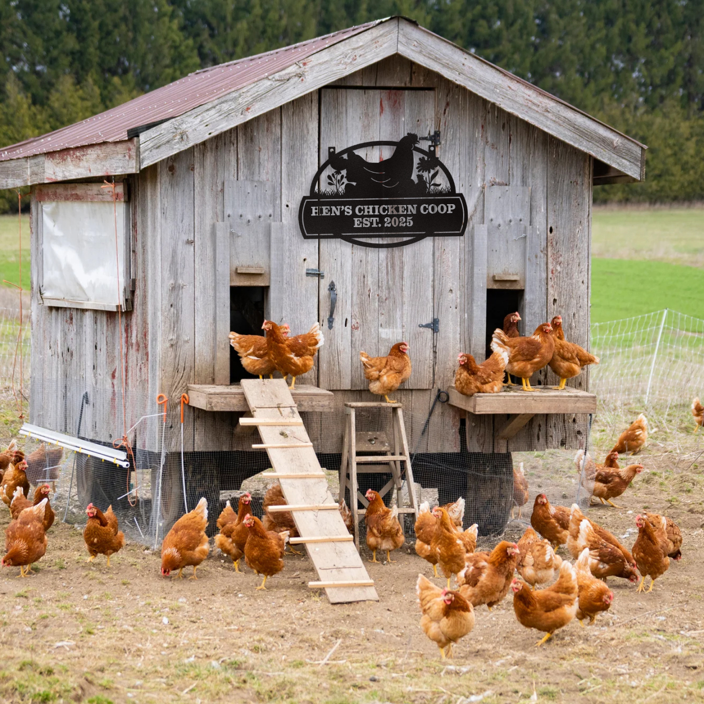 Personalized Chicken Coop Signs, Metal Funny Farm Decor, Chicken Coop Accessories, Metal Outdoor Wall Art, Custom Hen House Sign, Rustic Farmhouse Wall Decor for Farm Yard Garden Color10