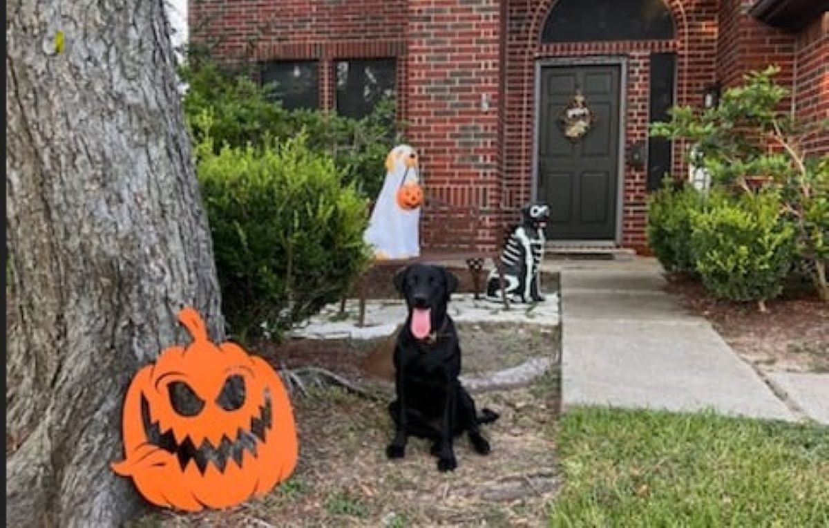 Halloween Evil Pumpkin Metal Sign, Scary Pumpkin Wall Decor, Spooky Halloween Decoration, Haunted House Outdoor Sign