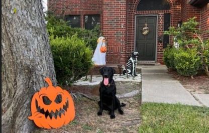 Halloween Evil Pumpkin Metal Sign, Scary Pumpkin Wall Decor, Spooky Halloween Decoration, Haunted House Outdoor Sign