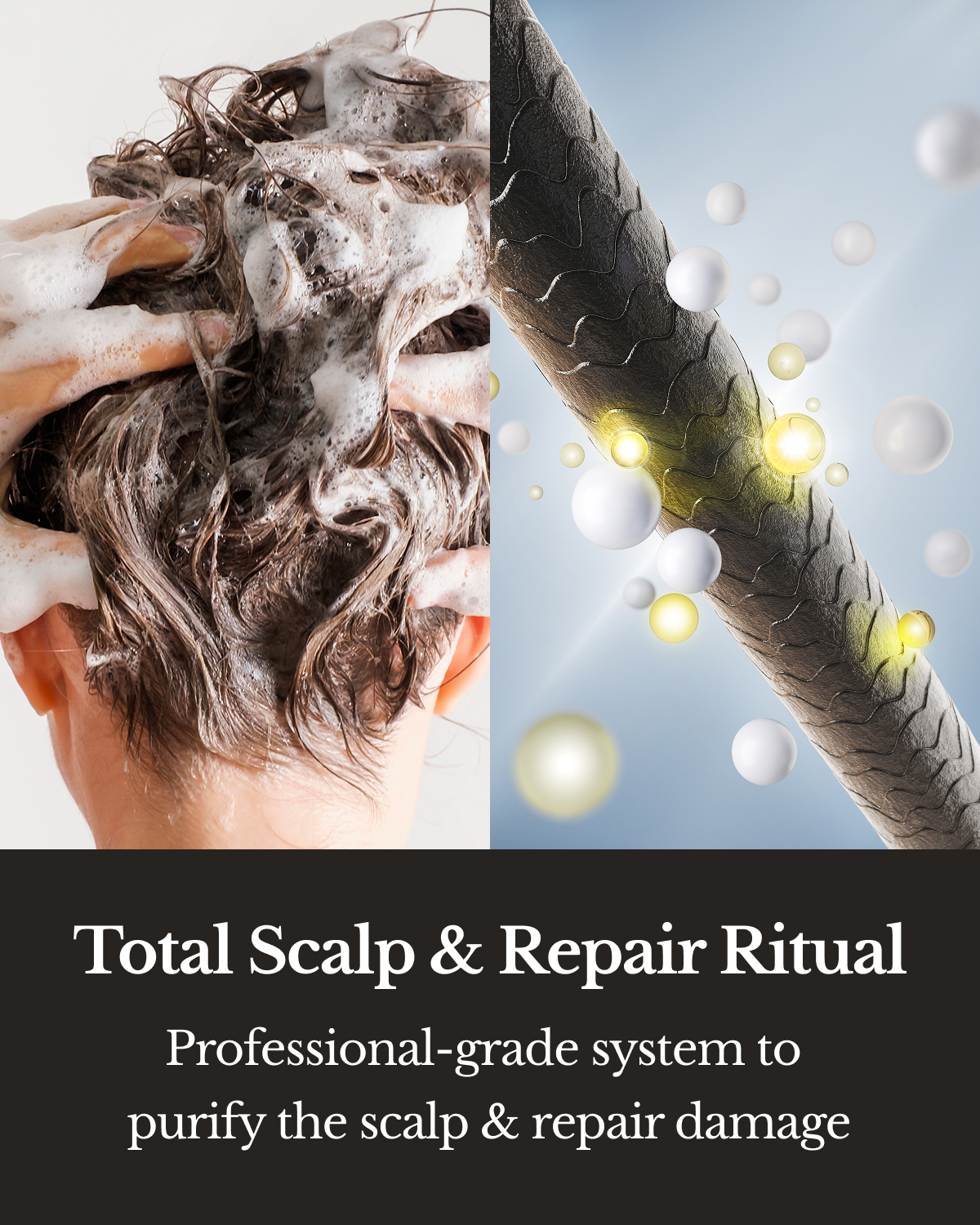 Black - Shampoo & Treatment (Conditioner)