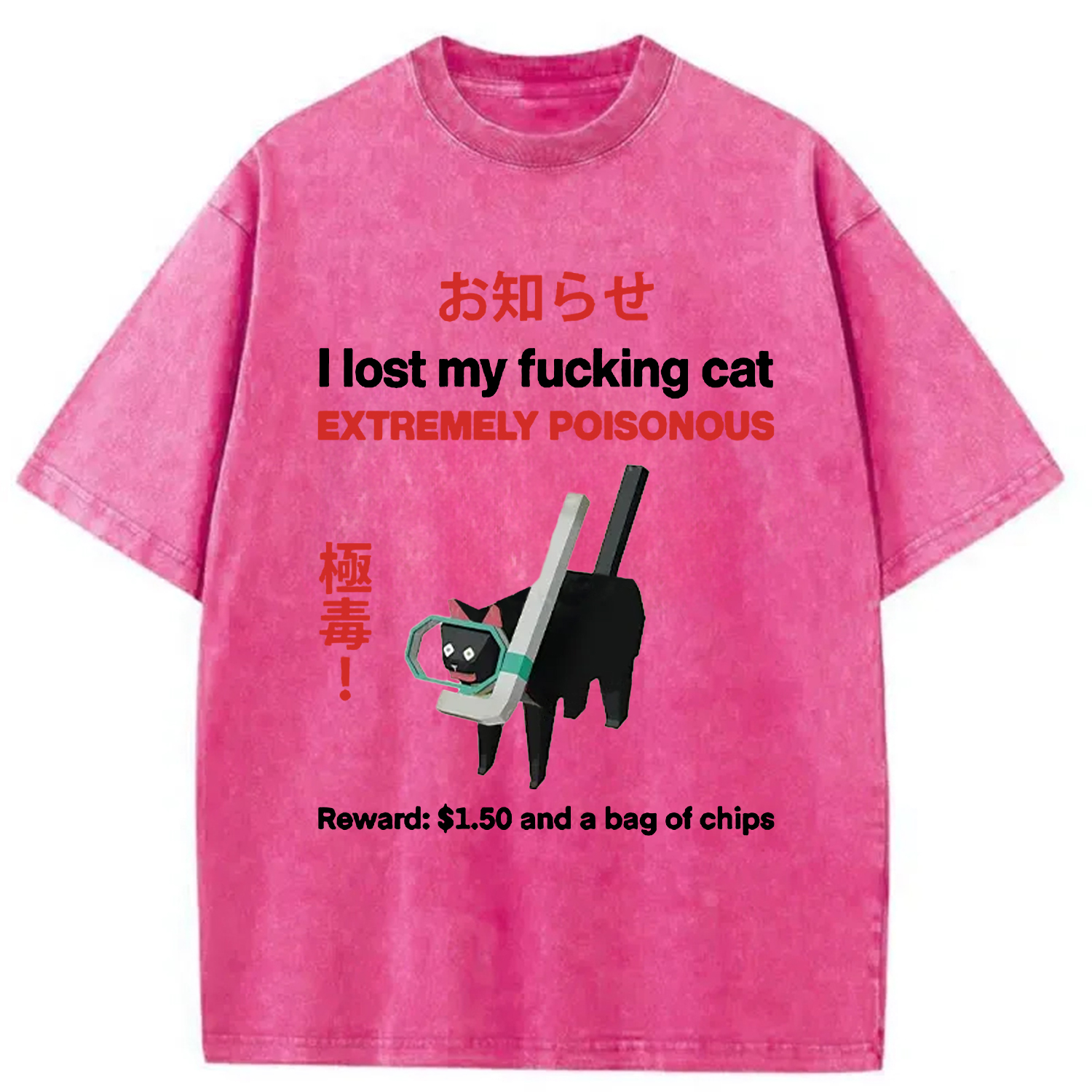 Tokyocanvas Find The Toxic Cat Funny Washed T-Shirt