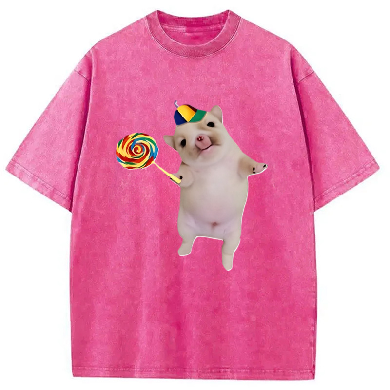 Tokyocanvas Funny Silly Dog with Lollipop Meme Washed T-Shirt