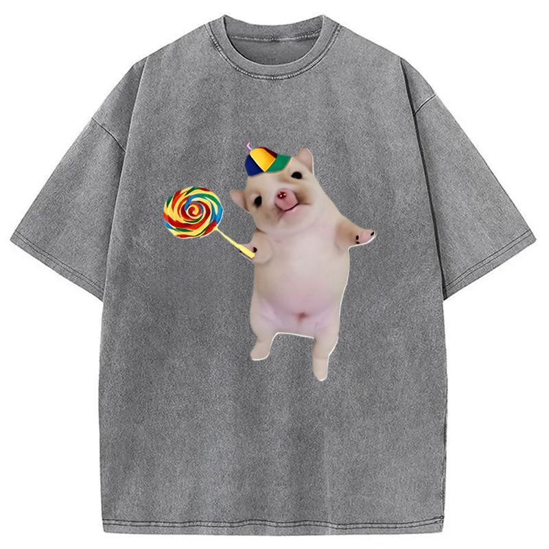 Tokyocanvas Funny Silly Dog with Lollipop Meme Washed T-Shirt