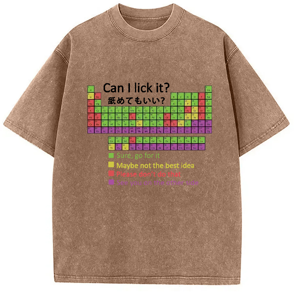 Tokyocanvas Can I Lick It Washed T-Shirt