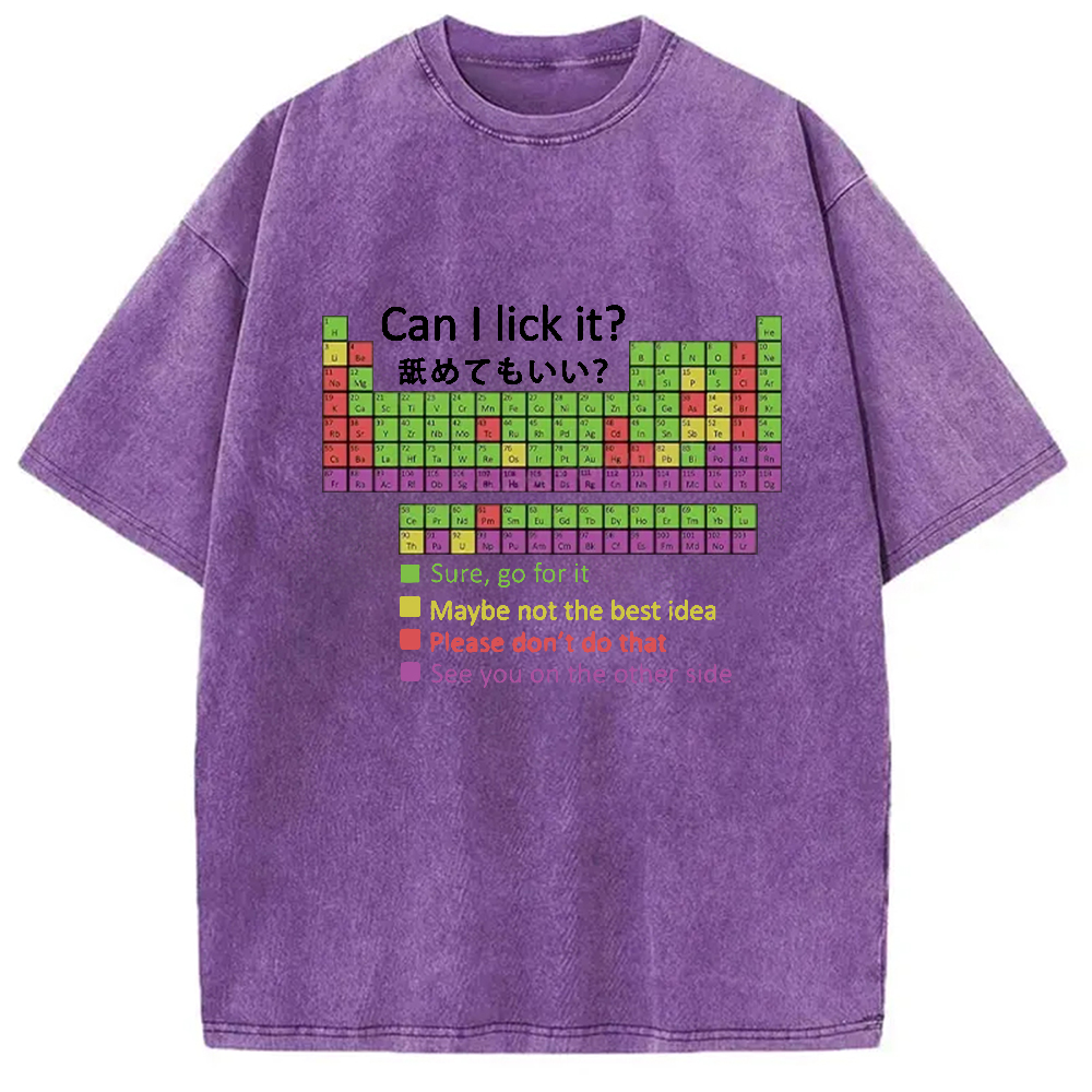 Tokyocanvas Can I Lick It Washed T-Shirt