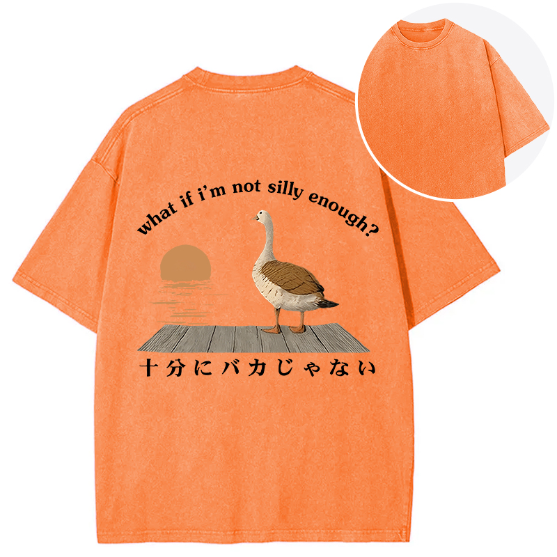 Tokyocanvas What If I'm Not Silly Enough Back Washed T-Shirt
