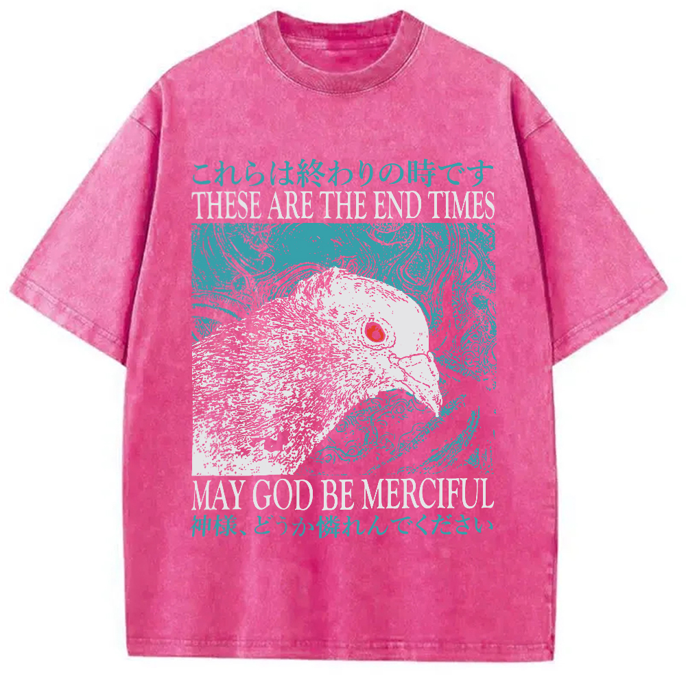 Tokyocanvas End Times Pigeon Vintage Washed T-Shirt