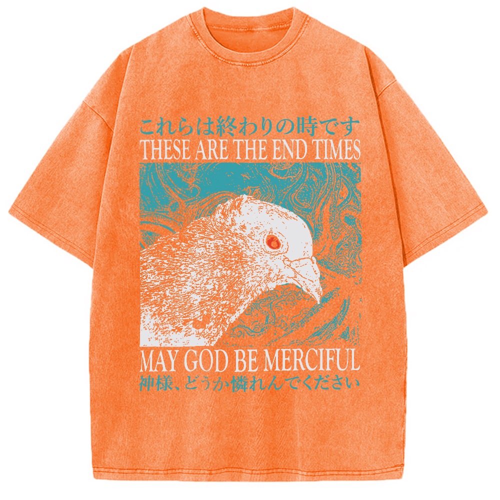 Tokyocanvas End Times Pigeon Vintage Washed T-Shirt