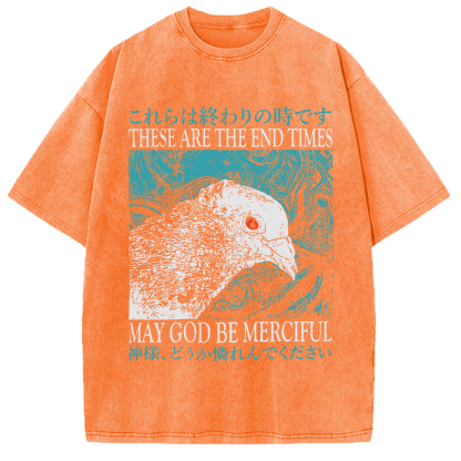 Tokyocanvas End Times Pigeon Vintage Washed T-Shirt