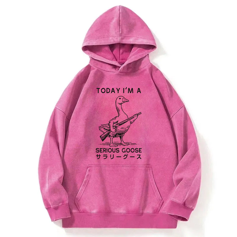 Tokyocanvas Serious Stupid Goose Washed Hoodie