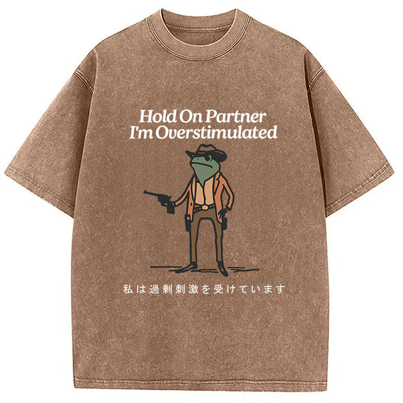 Tokyocanvas Hold On Partner I'm Overstimulated Washed T-Shirt