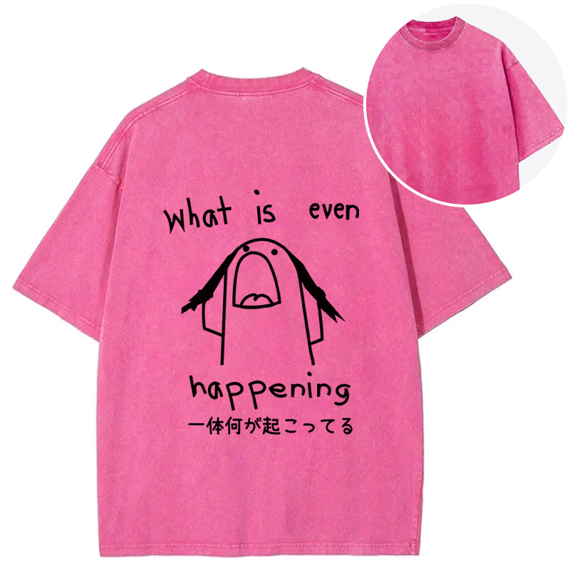 Tokyocanvas What Is Even Happening Back Washed T-Shirt