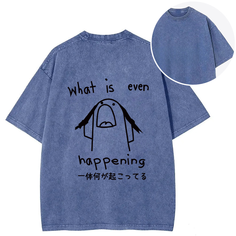 Tokyocanvas What Is Even Happening Back Washed T-Shirt