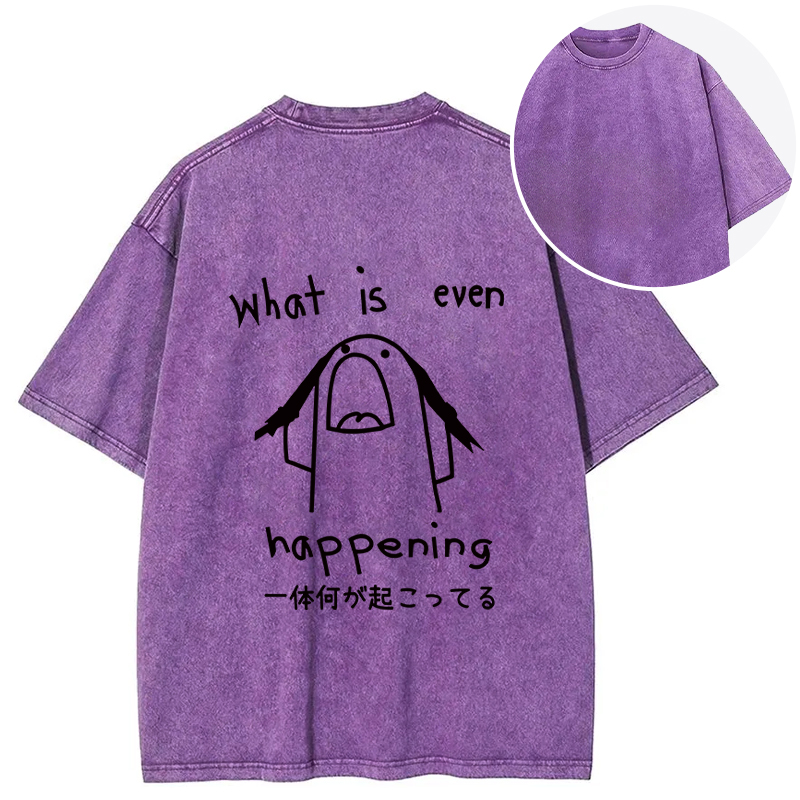 Tokyocanvas What Is Even Happening Back Washed T-Shirt