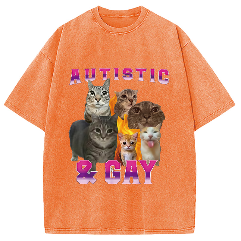 Tokyocanvas Funny Memes Brainrot Brain Rot Washed T-Shirt