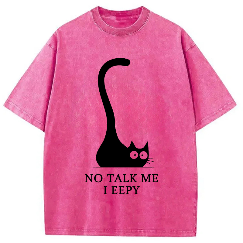 Tokyocanvas Cat Who Doesn't Want To Talk Washed T-Shirt