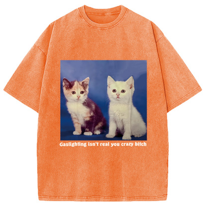 Tokyocanvas Gaslighting Isn't Real You Crazy Bit*h Washed T-Shirt