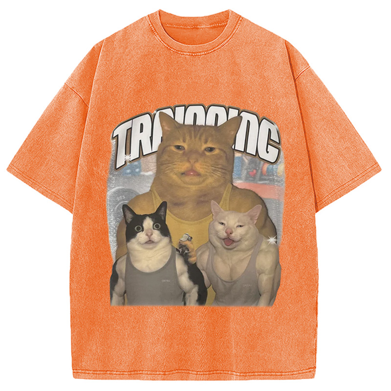 Tokyocanvas Muscle Cats Washed T-Shirt