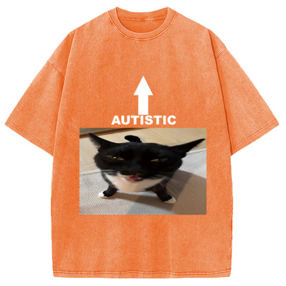 Tokyocanvas Autistic Cat Washed T-Shirt