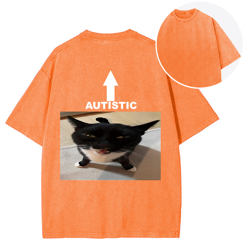 Tokyocanvas Autistic Cat Back Washed T-Shirt