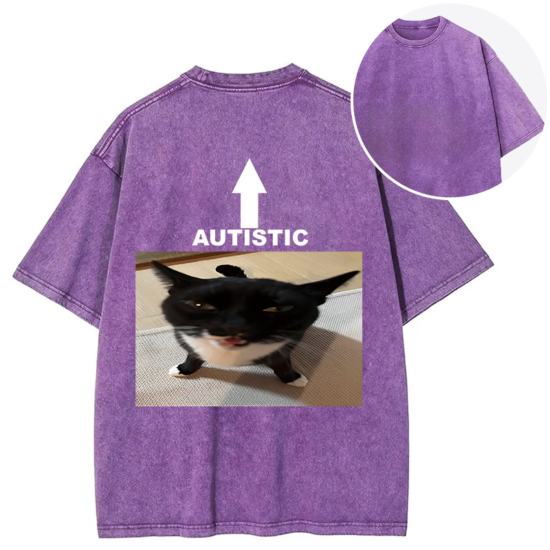 Tokyocanvas Autistic Cat Back Washed T-Shirt