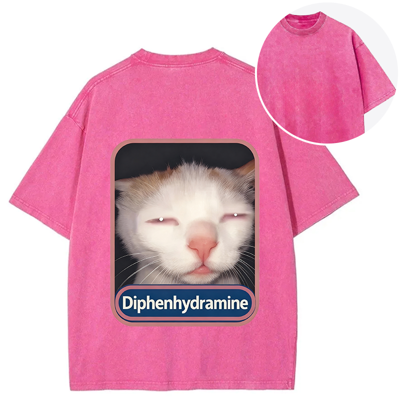 Tokyocanvas Funny Cat Meme Back Washed T-Shirt