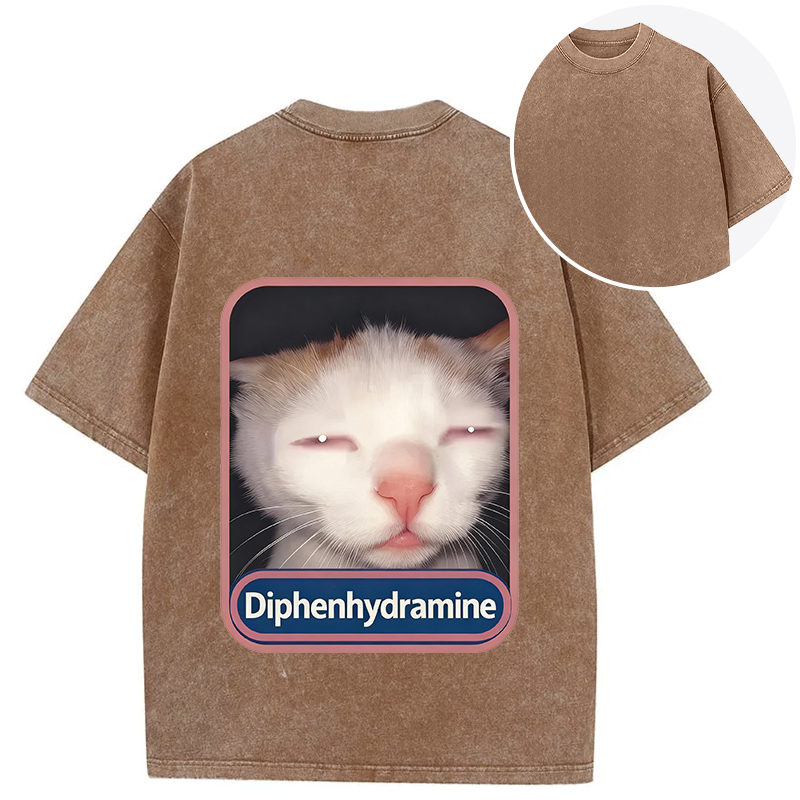 Tokyocanvas Funny Cat Meme Back Washed T-Shirt