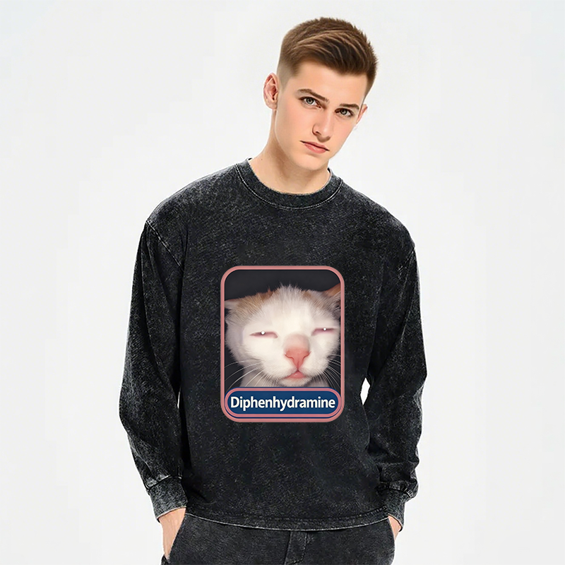 Tokyocanvas Funny Meme Cat Long Sleeve Washed T-Shirt