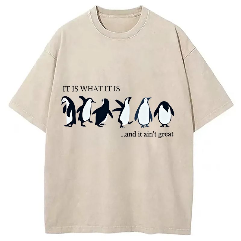 Tokyocanvas Funny Penguin Washed T-Shirt