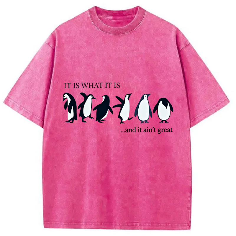 Tokyocanvas Funny Penguin Washed T-Shirt