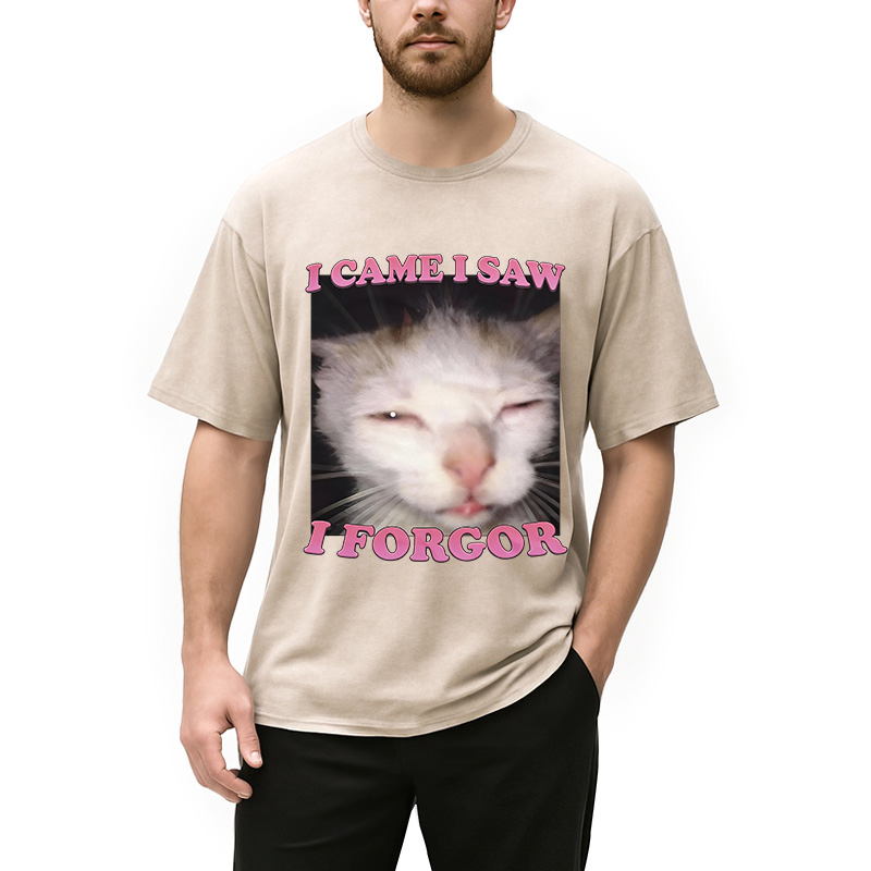 Tokyocanvas I Forgor Funny Cat Meme Washed T-Shirt